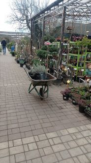 Garden Center Lizgard, магазин товаров для дачи и сада фото