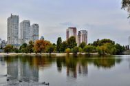 Березняки, фермерський ринок фото