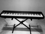 Додієз, музичний магазин фото