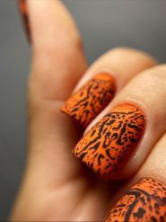 Nail Club Education, школа краси фото