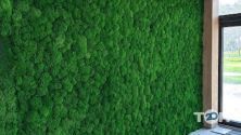 Green Ecco Moss, дизайнер інтер'єру фото
