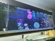 Zoomarket, зоомагазин фото