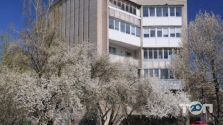 Школа иностранных языков School, школа фото