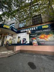 Золотая рыбка, зоомагазин фото