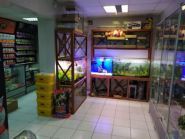 Немо, зоомагазин фото