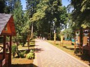 Вербиченька, детский лагерь фото