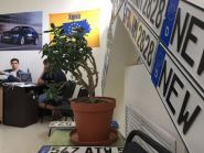 X-auto automotive agency, продажа автомобилей фото