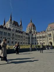 Tango Travel, туроператор фото