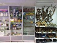 Немо, зоомагазин фото