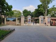 Летний театр GORSAD фото