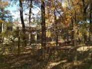 Лісова Казка, літній табір фото