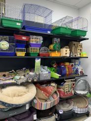 Беллі Zoo, зоомагазин фото