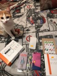 Caseshop.Com.Ua, друк на чохлах для телефонів фото