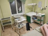 Пологовий клінічний будинок №1 фото