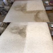 Фабрика чистки килимів фото