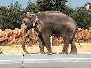 Харьковский зоопарк фото