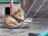 Харьковский зоопарк фото