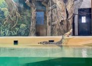 Харьковский зоопарк фото