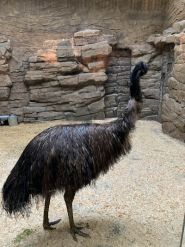 Харьковский зоопарк фото