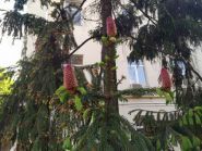 Спецстроймонтаж фото