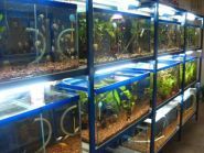 Zoomar, зоомагазин фото