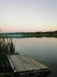 Лісовий берег, база відпочинку фото