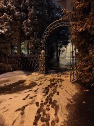 Дитяча музична школа № 8 ім. П. Гайдамаки фото