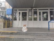 Бібліотека ім. Чижевського фото