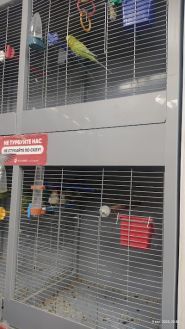 Brider, товари для тварин фото