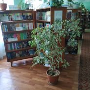 Бібліотека-філіал № 11 фото