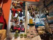 Дивокіт, зоомагазин фото