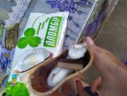 Ласка, производство мороженого фото