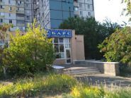 Барс, спортивний клуб фото