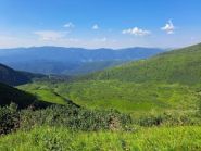 Кулуар, турагентство фото