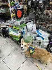 Зоологія, мережа зоомагазинів фото