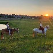 Кінні прогулянки фото