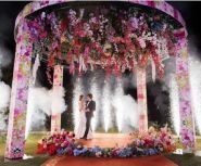 Weddisson event agency, організація святкових подій фото