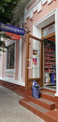 Джессі, зоомагазин фото