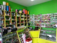 Родичі гарбузові, магазин семян и удобрений фото