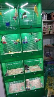 Зоомир 2, зоомагазин фото