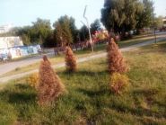 FreeGen Space, вільний простір фото