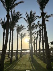 Enjoy Travel, турагентство фото