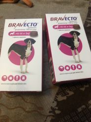 ZooHub, зоомагазин фото