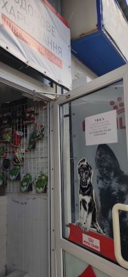 Royal kanin, ветеринарна аптека фото