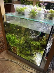 Аквамир на Позняках фото