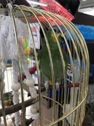 MasterZoo, зоомагазин фото