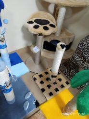 Джессі, зоомагазин фото