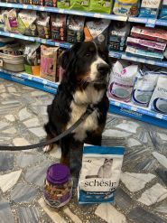 Зоомагазин ЗооБонус Саксаганского, зоомагазин фото