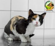 Зоомагазин champion, зоомагазин фото