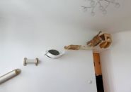 Tor Zoo, зоомагазин фото